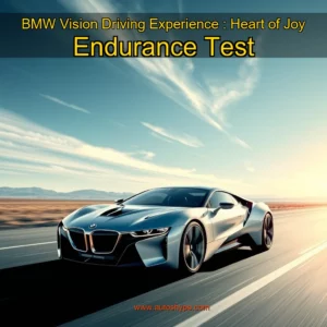 Artistic representation for BMW Vision Driving Experience : Heart of Joy Endurance Test