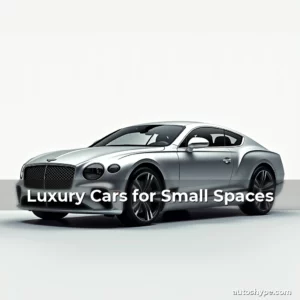Artistic representation for Luxury Cars for Small Spaces