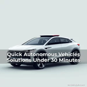 Artistic representation for Quick Autonomous Vehicles Solutions Under 30 Minutes