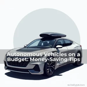 Artistic representation for Autonomous Vehicles on a Budget: Money-Saving Tips